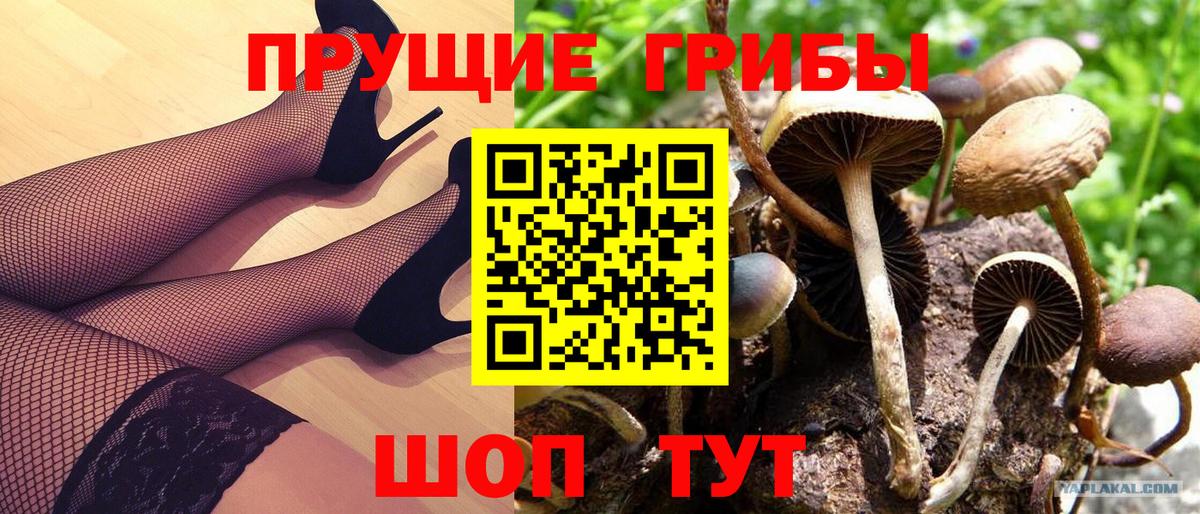Псилоцибиновые грибы MAGIC MUSHROOMS Реутов
